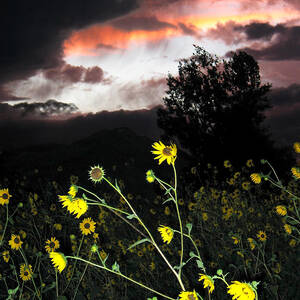 Socorro Sunset by Steven Ralser Socorro Sunset by Steven Ralser