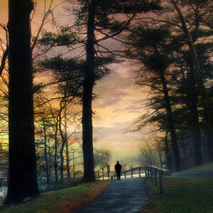 Sunset Solitude by Jessica Jenney Sunset Solitude by Jessica Jenney