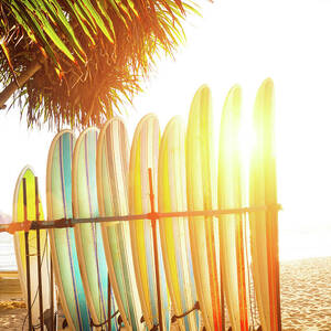 Surfboards At Ocean Beach by Arand Surfboards At Ocean Beach by Arand