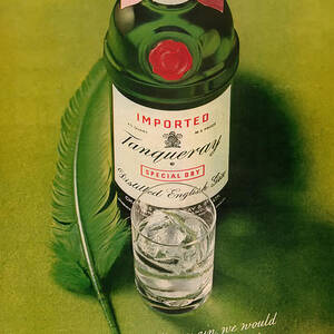 Tanqueray Gin by Georgia Clare Tanqueray Gin by Georgia Clare
