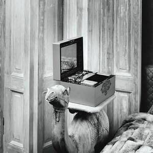 Teakwood Camel With Makeup Case In Mrs Dunquettes by Shirley C. Burden