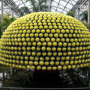 The Chrysanthemum Tree by Richard Reeve