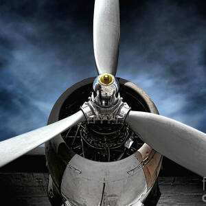 The Mission by Olivier Le Queinec