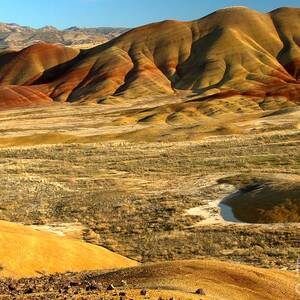 The Painted Landscape by Adam Jewell The Painted Landscape by Adam Jewell