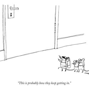 This Is Probably How They Keep Getting In by Edward Steed