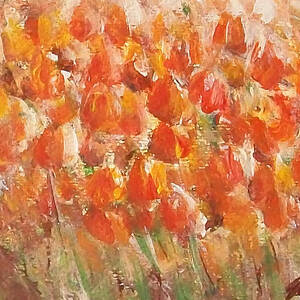 Tulips by Jane See