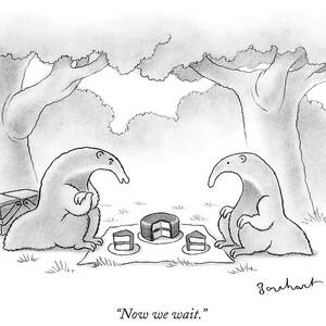 Two Anteaters On A Picnic Wait For Ants To Come by David Borchart