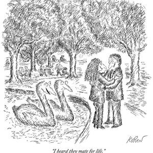 Two Ducks Observe A Man And Woman Embracing by Edward Koren