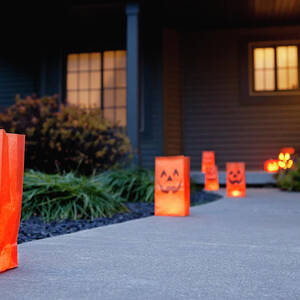 Usa, Illinois, Metamora, Halloween Bags by Vstock Llc