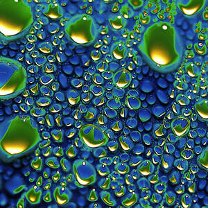 Wax Holds Up by Joe Schofield