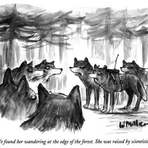 We Found Her Wandering At The Edge Of The Forest by Warren Miller We Found Her Wandering At The Edge Of The Forest by Warren Miller