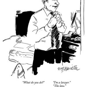 What Do You Do? I'm A Lawyer.
The Law.
I by William Hamilton What Do You Do? I'm A Lawyer.
The Law.
I by William Hamilton