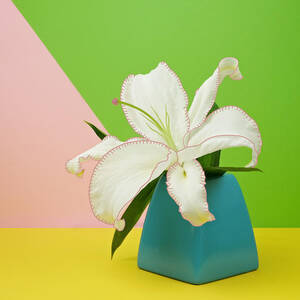 White Lily Flower In Blue Vase by Juj Winn White Lily Flower In Blue Vase by Juj Winn
