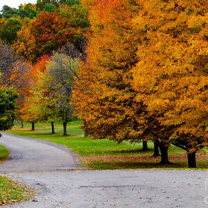 Winding Road by William Norton