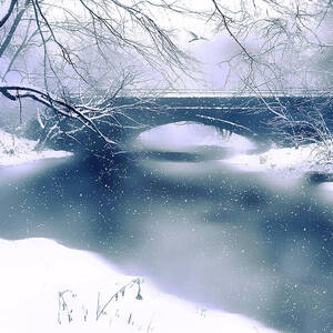 Winter Haiku by Jessica Jenney