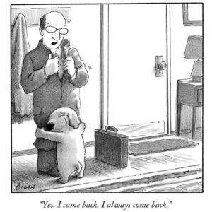 Yes I Came Back I Always Come Back by Harry Bliss