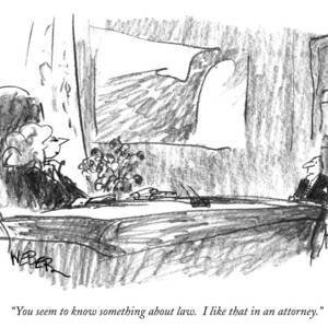 You Seem To Know Something About Law.  I Like by Robert Weber