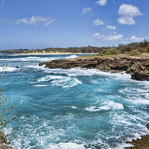 Kauai Beauty by Kelley King