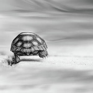 Big Big World #2 by Laura Fasulo