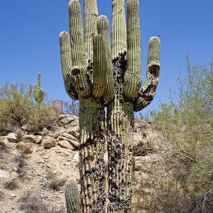 Beaten and Battered by Kelley King