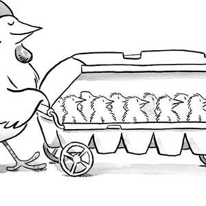 Carton of Chicks by Robert Leighton Carton of Chicks by Robert Leighton