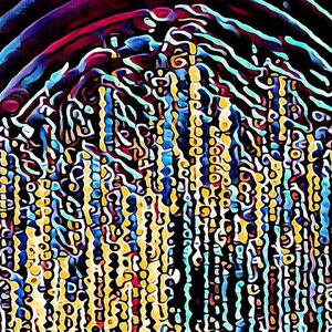 Celebration by David Manlove