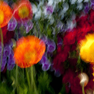 Color Explosion by Kelley King