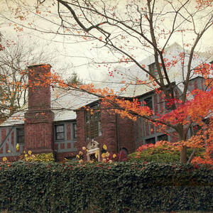 Elegance in Autumn by Jessica Jenney