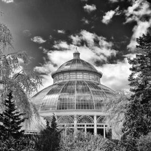 Enid J, Haupt Conservatory by Jessica Jenney