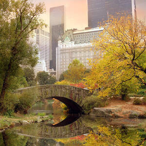 Gapstow Bridge Reflections by Jessica Jenney