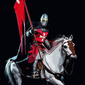 Knight Hospitaller by AM FineArtPrints