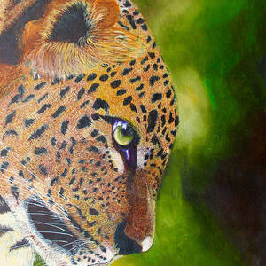 Leopard Stare by Richard Kimenia