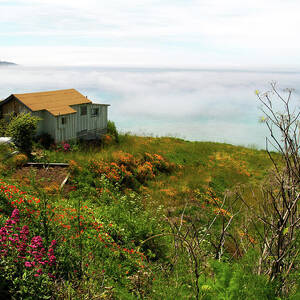 Lucia Morning on Big Sur by Joe Schofield Lucia Morning on Big Sur by Joe Schofield