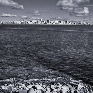 Madison Skyline - Black and White by Steven Ralser Madison Skyline - Black and White by Steven Ralser