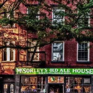 McSorley's Old Ale House NYC by Susan Candelario