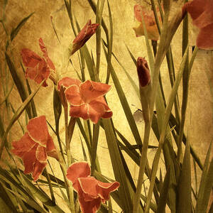 Nature's Chaos in Spring by Jessica Jenney