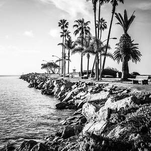 Newport Beach Jetty Black and White Picture by Paul Velgos