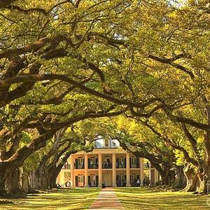 Oak Alley Plantation House by Adam Jewell Oak Alley Plantation House by Adam Jewell