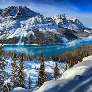 Peyto Lake Winter Panorama by Adam Jewell Peyto Lake Winter Panorama by Adam Jewell