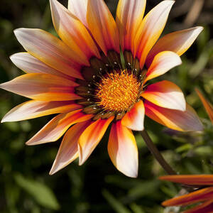 Picture Perfect by Kelley King