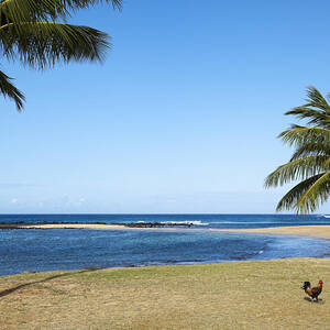 Poipu Beach by Kelley King