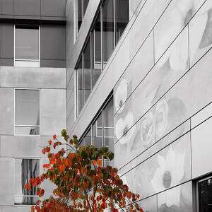 Shoreline City Hall by Mary Jo Allen Shoreline City Hall by Mary Jo Allen
