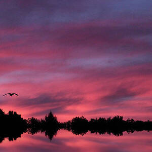 Silhouette Sunset by Jessica Jenney Silhouette Sunset by Jessica Jenney