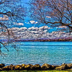 Springtime by William Norton