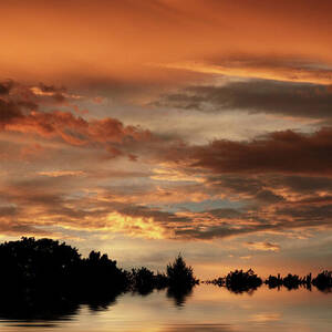 Sunset Pond Reflections by Jessica Jenney Sunset Pond Reflections by Jessica Jenney