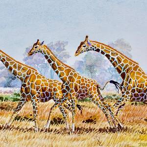 Three Giraffes by Joseph Thiongo