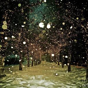 Winter Wonderland - New York by Debra Banks Winter Wonderland - New York by Debra Banks