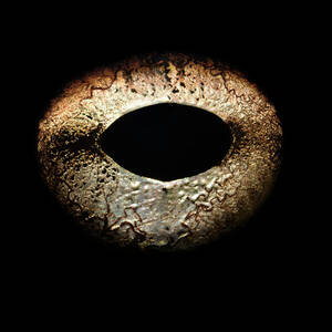 Bullfrogs Eye, Close-up #1 by Jonathan Knowles