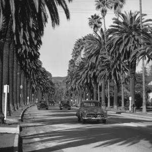 Cannon Drive #1 by Slim Aarons
