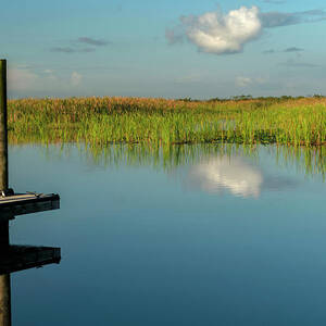 Florida, Everglades, Arthur R. Marshall Loxahatchee Wildlife Refuge #1 by Gabriel Jaime Jimenez